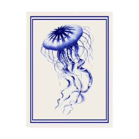 Fab Funky 'Mixed Nautical Blue On Cream C' Canvas Art,35x47